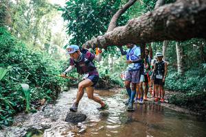 BIB: 
                            <button type="button" onclick="openModal(25369700)" class="btn btn-primary btn-sm float-right btn-popup" data-toggle="modal" data-target=".modal-high-quality">
                        <i class="fas fa-shopping-cart"></i> Add to Cart
                    </button>
                                            <button type="button" onclick="isThisMe(25369700, true)" class="btn btn-success btn-sm float-right btn-popup btn-isme hidden" data-toggle="tooltip" data-placement="bottom" title="นี่คือรูปของคุณใช่ไหม คลิกที่นี่เพื่อเอาเข้าอัลบั้ม">
                        <i class="fas fa-plus"></i> Add to album
                    </button>
                    <button type="button" onclick="isThisMe(25369700, false)" class="btn btn-warning btn-sm float-right btn-popup btn-isnotme hidden">
                        <i class="fas fa-ban"></i> Remove from album
                    </button>